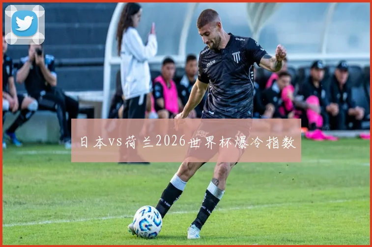 日本vs荷兰2026世界杯爆冷指数